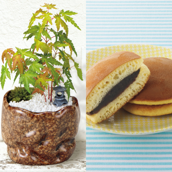 新月バラ園 親父の手（SUSTEE付）＋花菓蔵 粒あんどら焼き【父の日】 商品サムネイル
